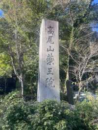 Mount Takao: A Refreshing Escape for Beginners