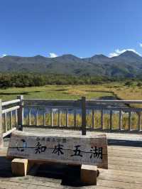 大自然の知床を満喫しよう