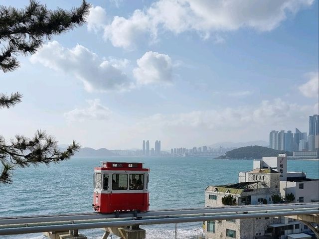 Busan's Sky-High Coastal Dream
