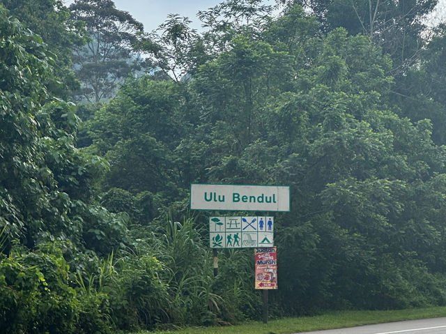 Conquering Gunung Angsi via Ulu Bendul — The Ultimate Challenge Hike! 🔥🏞️