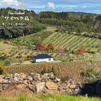 【NZ】🍷ワイヘケ島ワイナリー巡りと、虹と映画に出会えた一日🌈