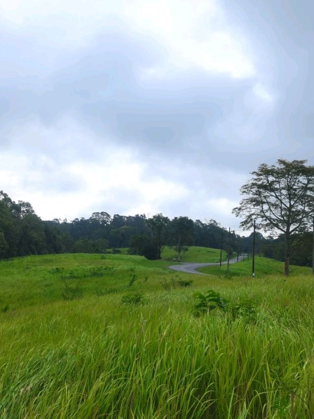 อุทยานแห่งชาติเขาใหญ่ จ.นครราชสีมา