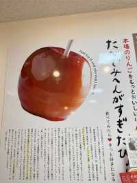 【青森】リピ確！美味しすぎるりんご飴！