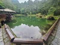 行！走入超完美芬多精仙境～阿里山森林公園