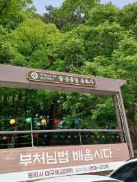팔공산의 품에 안긴 동화사