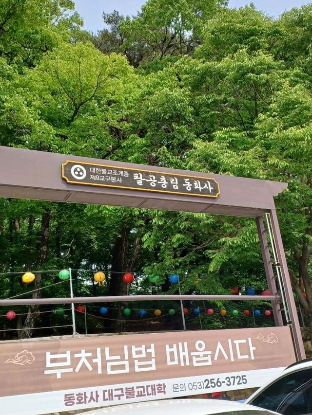 팔공산의 품에 안긴 동화사