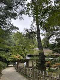 【香川】豊島から高松へ、1日で楽しむ香川満喫プラン