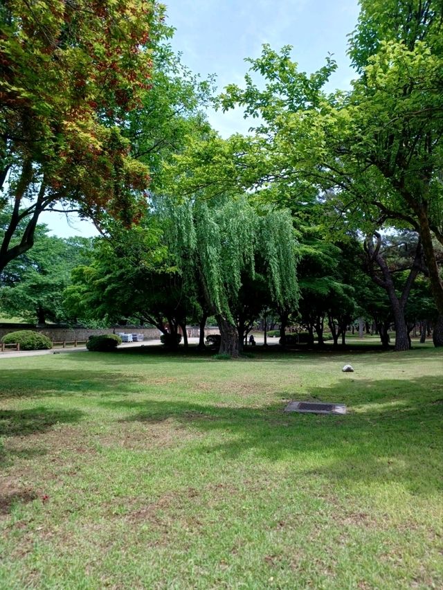 고요한 고분길 따라 걷는 힐링 산책