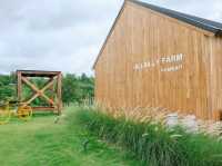 Hillbilly farm น้ำหนาว 🍃🌲☘️☕️