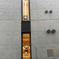 📚 Ando Tadao’s Kodomo Hon no Mori Kumamoto Library — A Peaceful Reading Haven for Kids