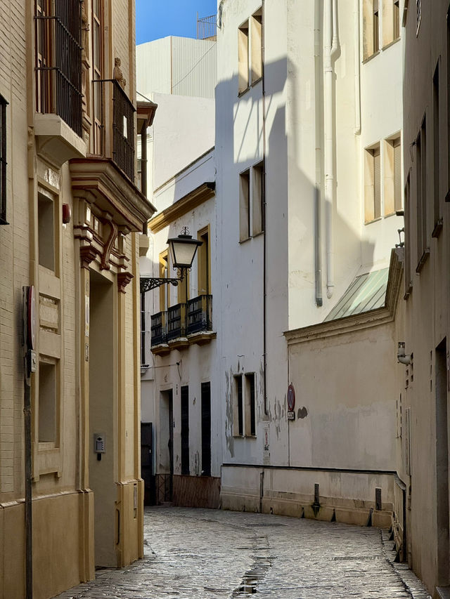 Spacious community hostel in Seville