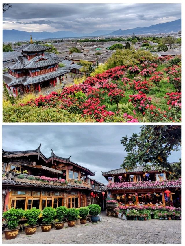 花の町、世界遺産麗江