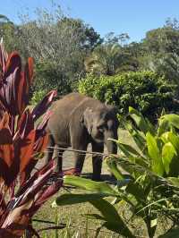 Australia Zoo is just a popular choice