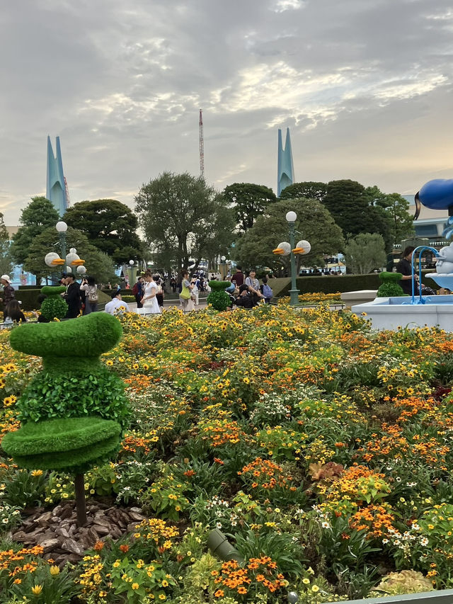 🎡 “현실 탈출, 디즈니랜드로 떠나는 하루치 동화”