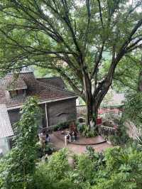 Longmenhao Old Street ถนนคนเดินสุดชิค