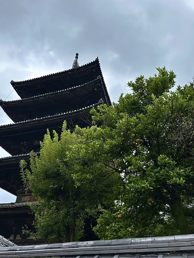 โอซาก้า🇯🇵