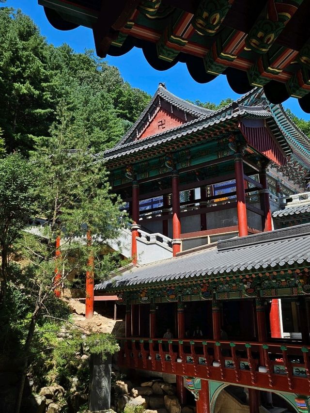 대한민국 사찰투어 베스트 스팟!