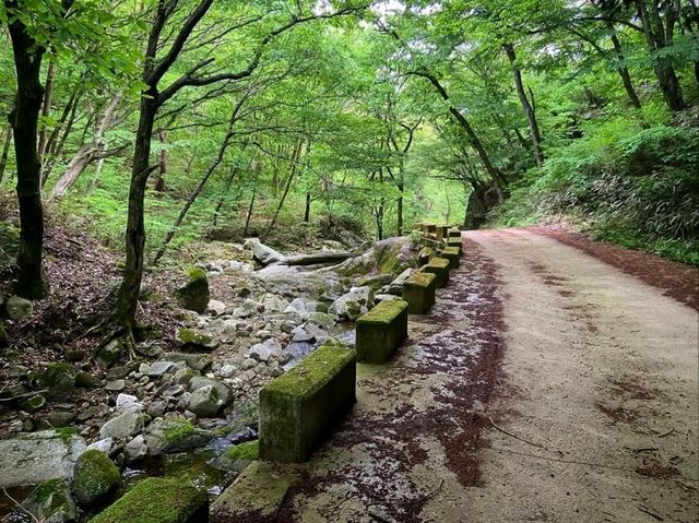 Geumsansa + Moaksan, Hike a Little, Zen a Lot