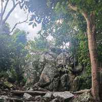 Tanjung Tuan Forest Reserve