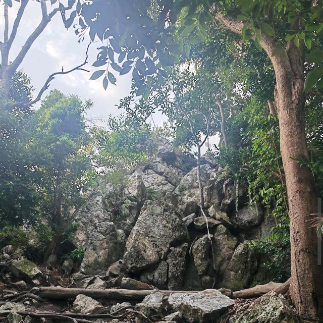 Tanjung Tuan Forest Reserve