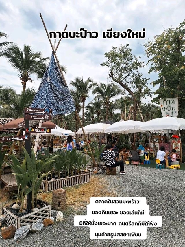 กาดเหนือๆในเชียงใหม่ เฉพาะ ส,อา 