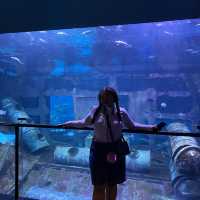Aquarium Phuket 