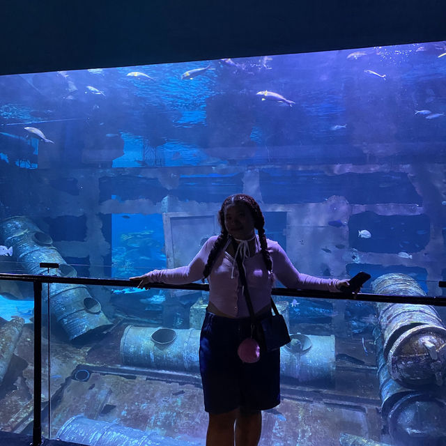 Aquarium Phuket 