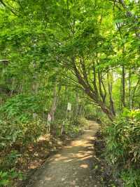 해외여행 삿포로 등산 Mount Moiwa Hiking Walking trail 