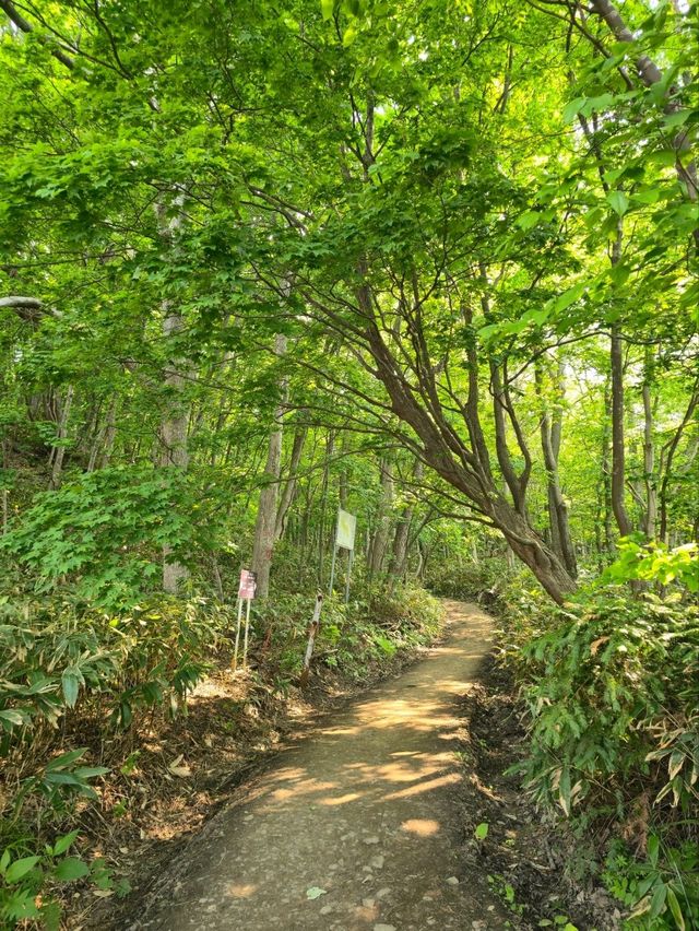해외여행 삿포로 등산 Mount Moiwa Hiking Walking trail 