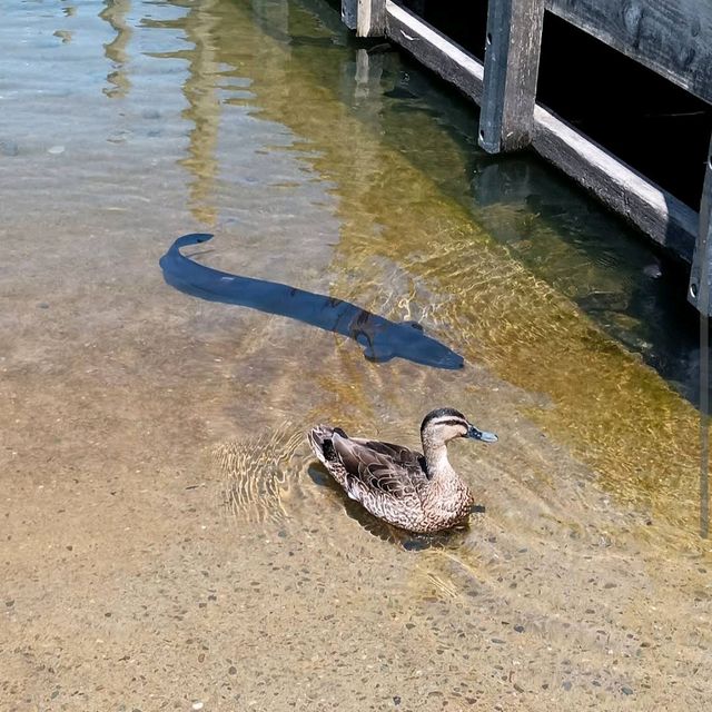 Nelson Lakes National Park
