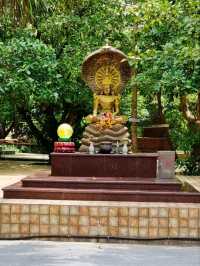 🙏 : วัดป่าคลอง 11 ไหว้พระปทุมธานี