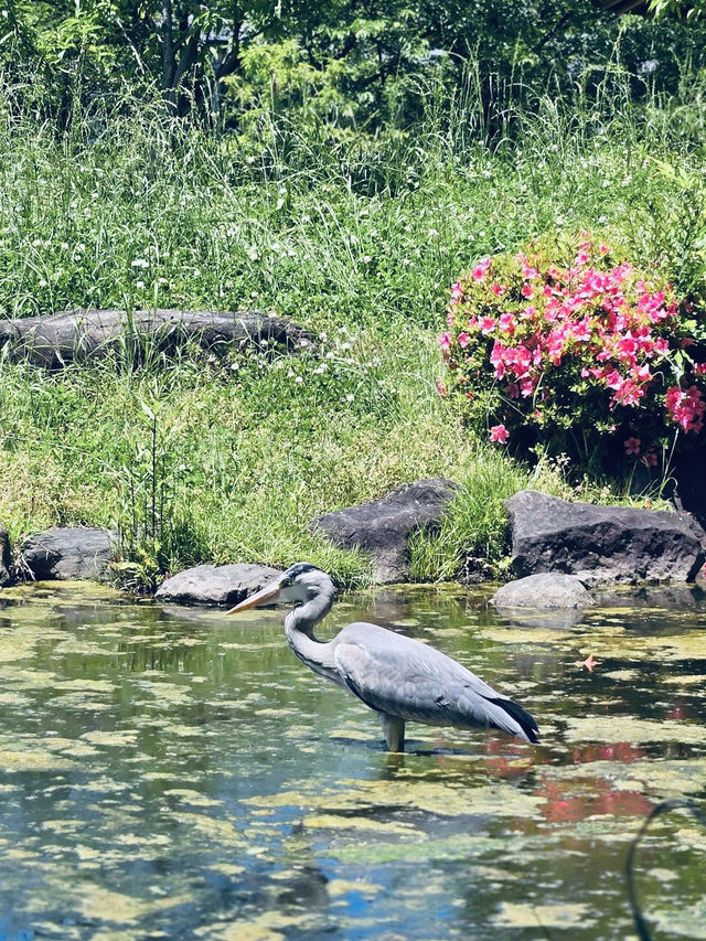 The historical Fujita Museum