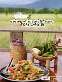 นาน้าหมู ฟาร์มสเตย์@ตรัง  ✨🌾