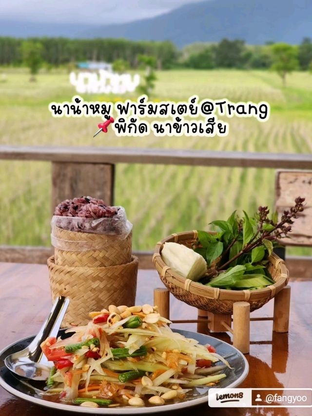 นาน้าหมู ฟาร์มสเตย์@ตรัง  ✨🌾