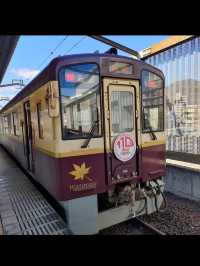 【わたらせ渓谷鐵道】トロッコ列車で巡る、四季の渓谷とノスタルジー旅