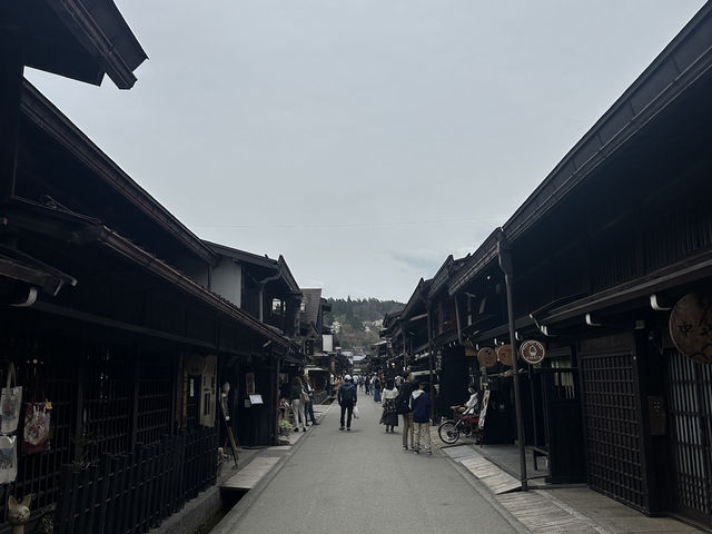 🌸 日本高山賞櫻實用指南🌸