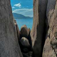 เกาะนางยวน
