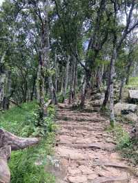 อุทยานแห่งชาติไทรทอง ทุ่งบัวสวรรค์