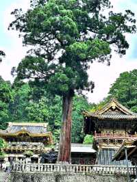 The most ornate structure in Japan : The Yomeimon gate