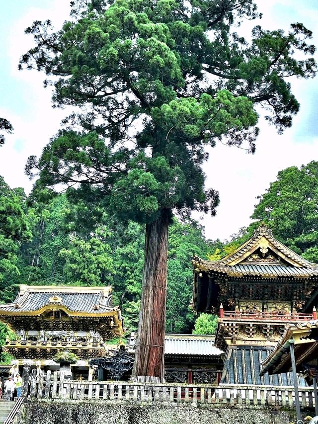 The most ornate structure in Japan : The Yomeimon gate