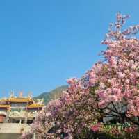 WuJi Tianyuan Temple