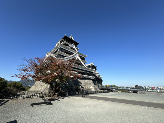Kumamoto Castle: A Majestic Icon of Strength, History, and Resilience