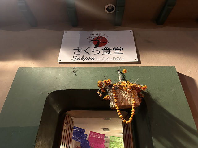【Sakura Shokudou｜オアハカで出会うほっとする“日本の味”】
