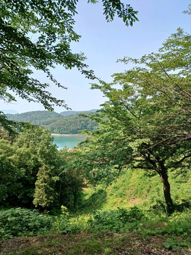 가족 모두가 웃는 야외 공룡 탐험👨‍👩‍👧‍👦