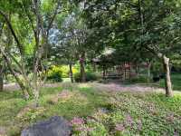 🌿 Humble Administrator’s Garden 拙政园 — A Classical Suzhou Gem