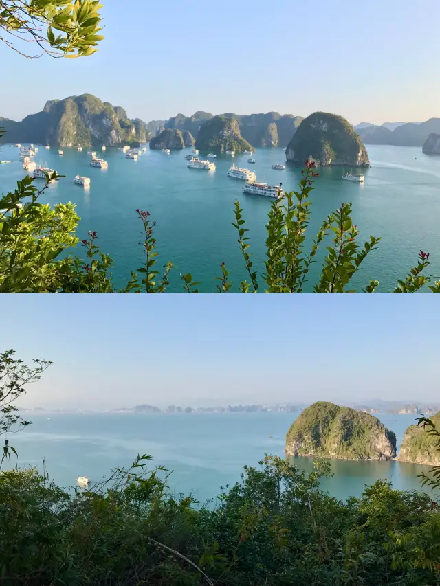 การล่องเรือ 1 คืนในอ่าวฮาลอง: การเดินทางผ่านภาพฝันของเวียดนาม