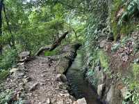 草山觀瀑吊橋。猴崁圳古道