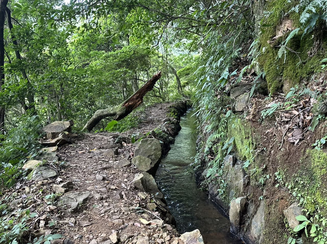 草山觀瀑吊橋。猴崁圳古道