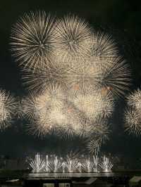 【大阪🇯🇵】淀川花火大会🎆