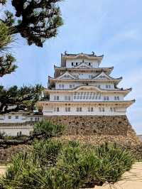 姬路 | 日本國寶名城，宛如百百鷺展翅的姬路城
